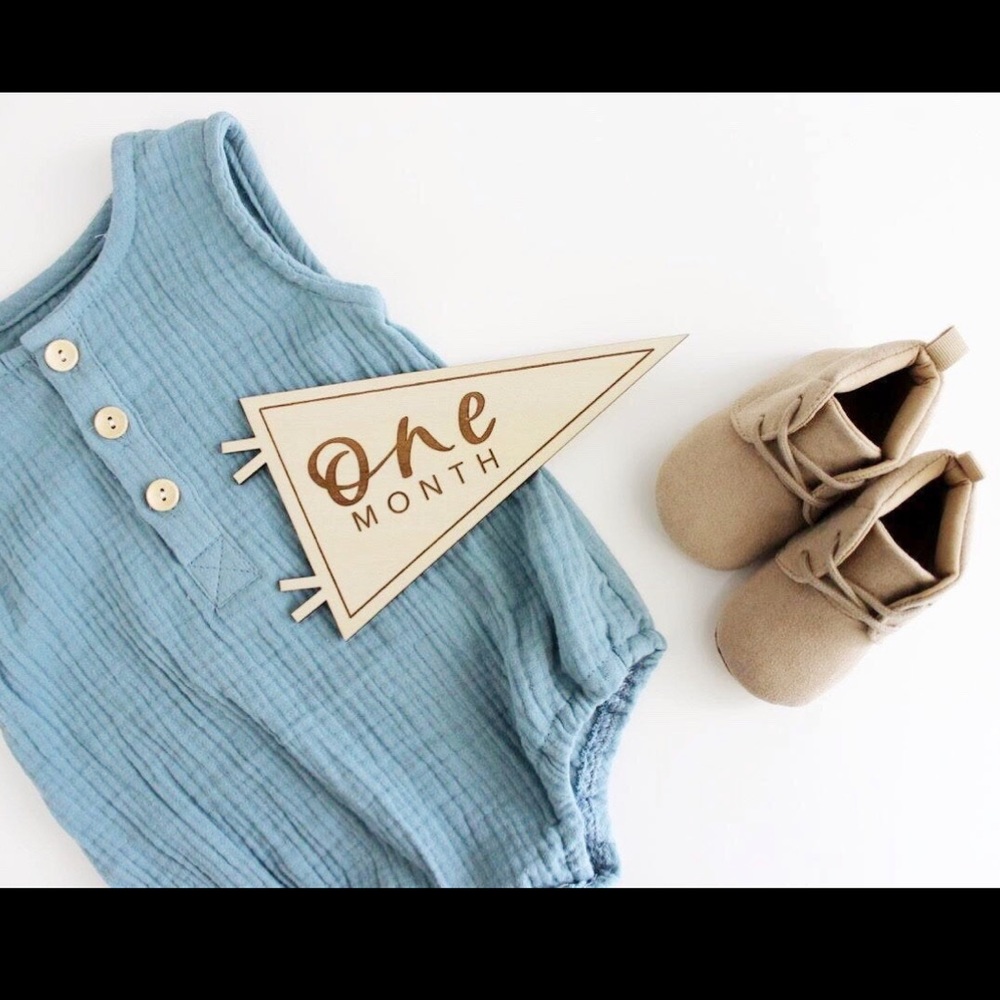 Pennant Milestone Set: Baby's First Year Photos | hand lettered milestone sets